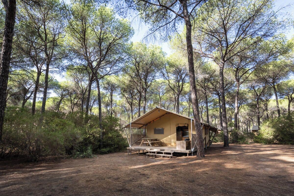 Une petite cabane à un seul étage, dotée d’un porche et entourée d’une forêt dense.