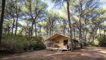 A small, single-story cabin with a porch, surrounded by dense trees.