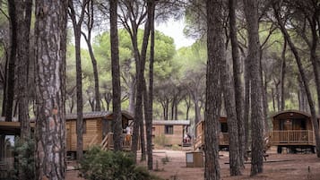 A forest with several wooden cabins, each with a deck and a small porch.