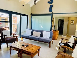 Smart TV, fireplace, books