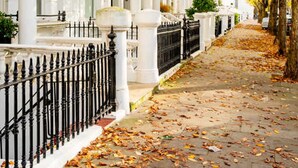 A row of white townhouses with black iron railings and a tree with yellow leaves in the foreground. - Kensington High Life- by Out of Office Lifestyle (London)