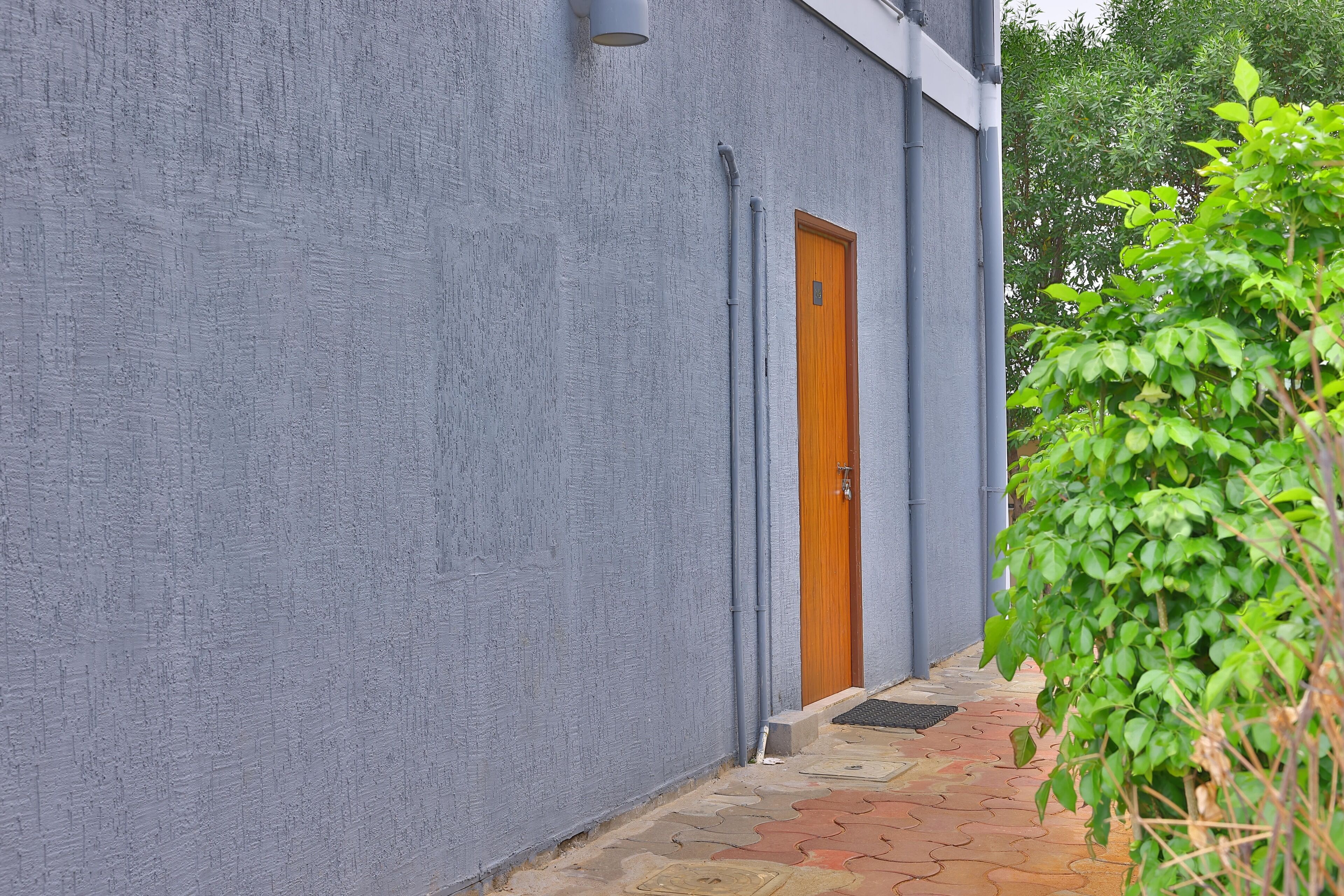 A narrow pathway leading to a building with a grey wall and a wooden door.