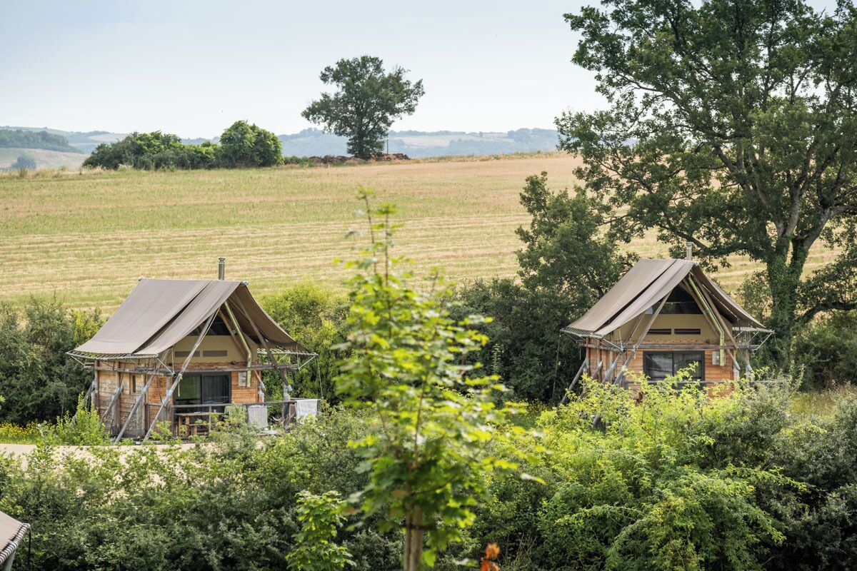 Two rustic, A-frame cabins surrounded by lush greenery and fields.