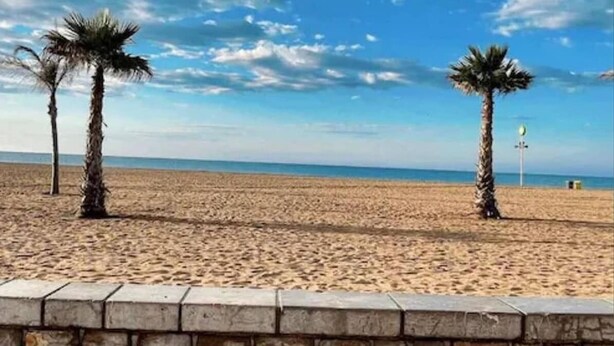 Une plage avec deux palmiers et un mur de pierre au premier plan.