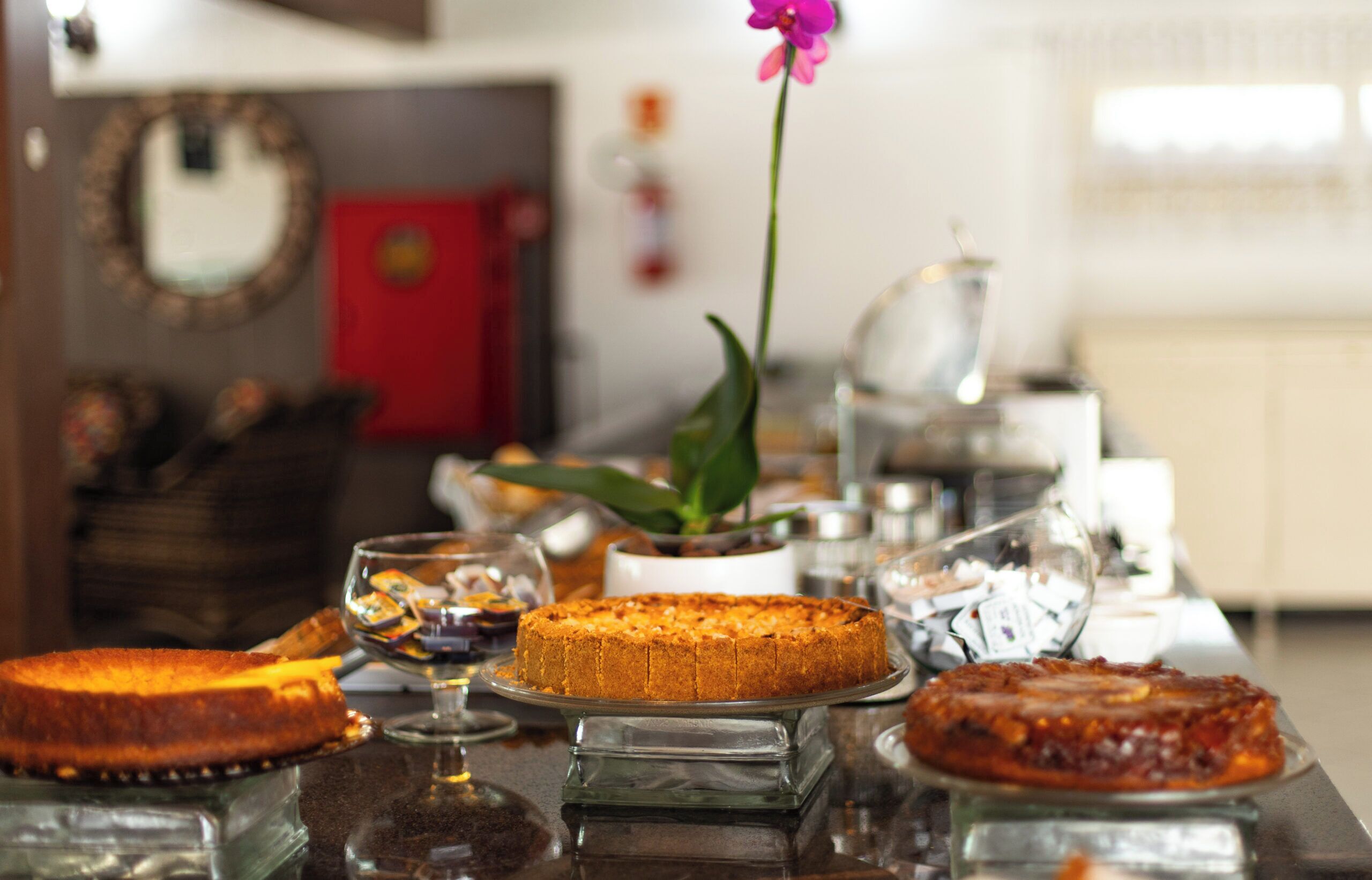 Una mesa con diversos postres y una planta en maceta.