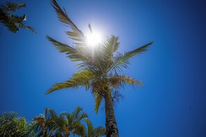 Front of property - Rota do Sol Praia Hotel (Guaratuba)