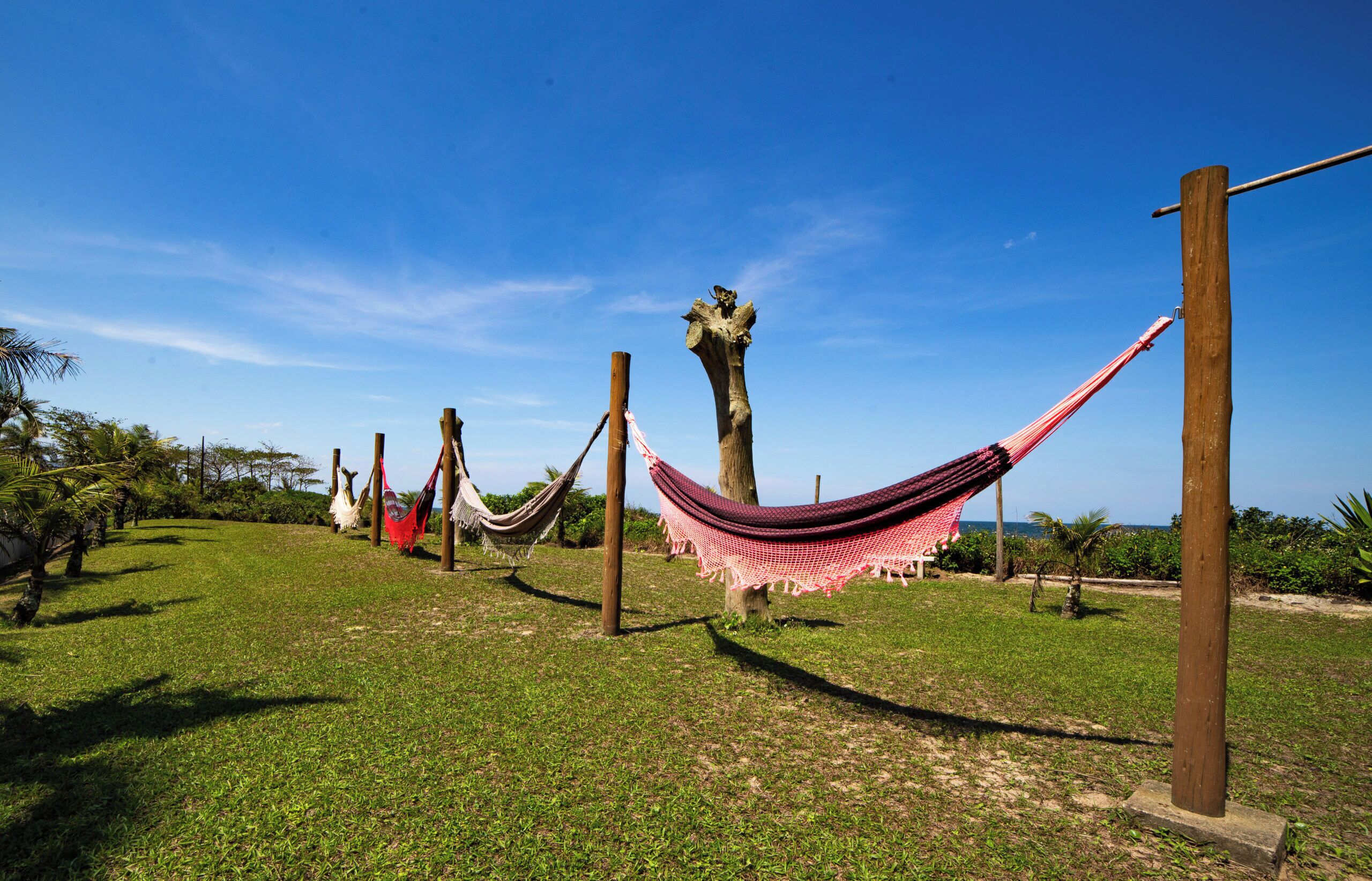A grassy area with hammocks and wooden posts, likely part of a park or resort.