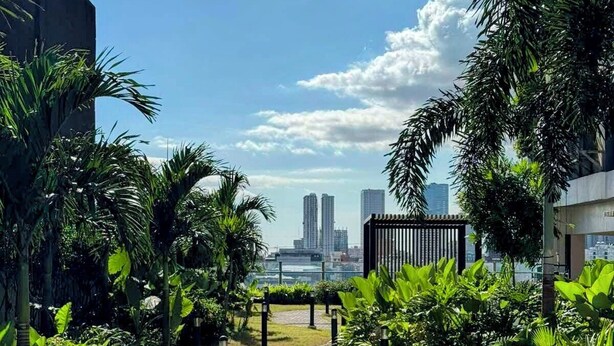 Un camino pavimentado en un exuberante jardín, con plantas altas y vistas a edificios lejanos.