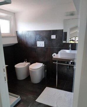 Dusche, Haartrockner, Handtücher, Seife