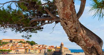 Charming pavilion in Argelès-sur-Mer - Beach 5 min, air conditioning, pets allowed