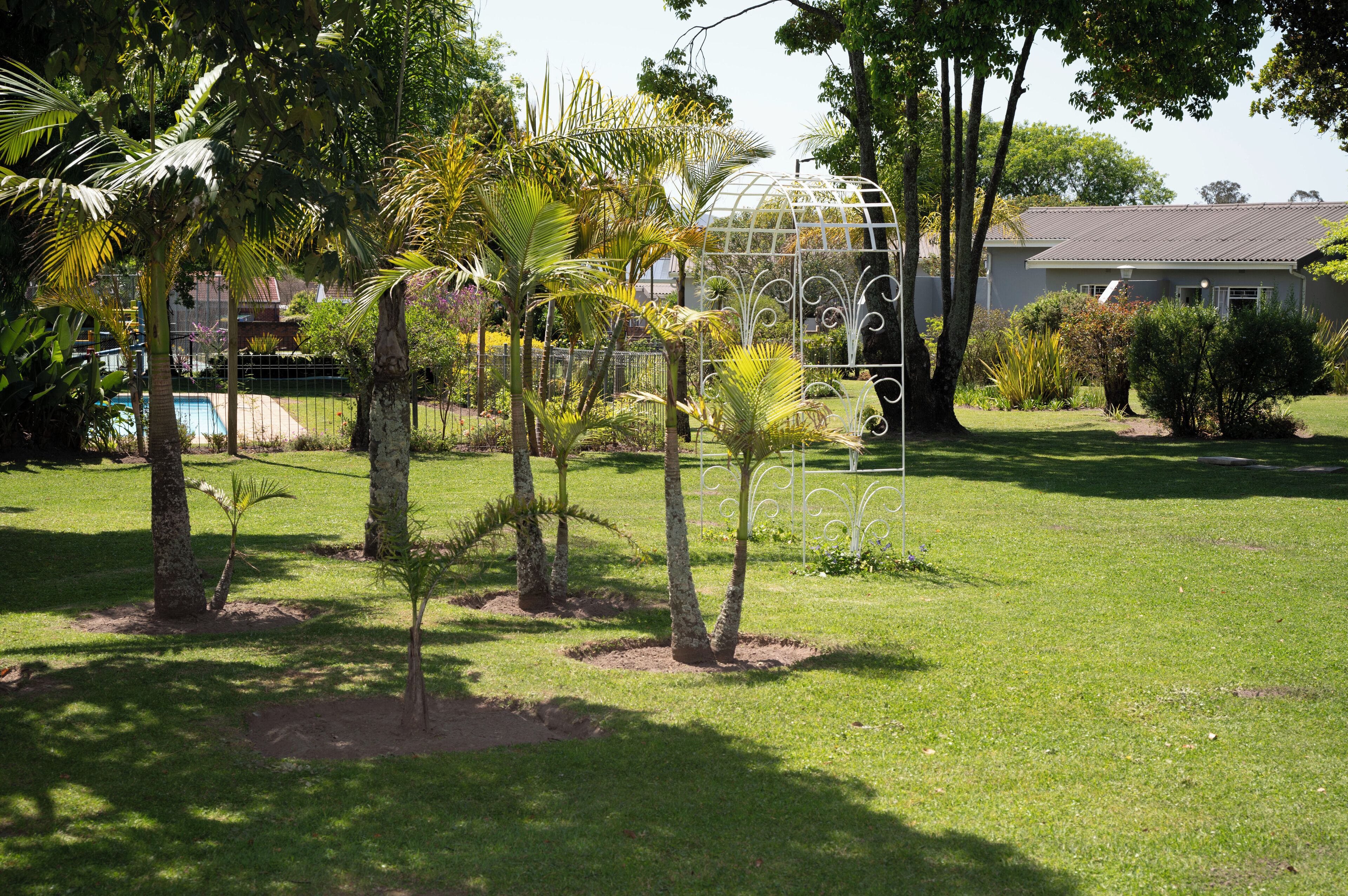 Un jardín con palmeras, un pabellón de metal y una casa al fondo.