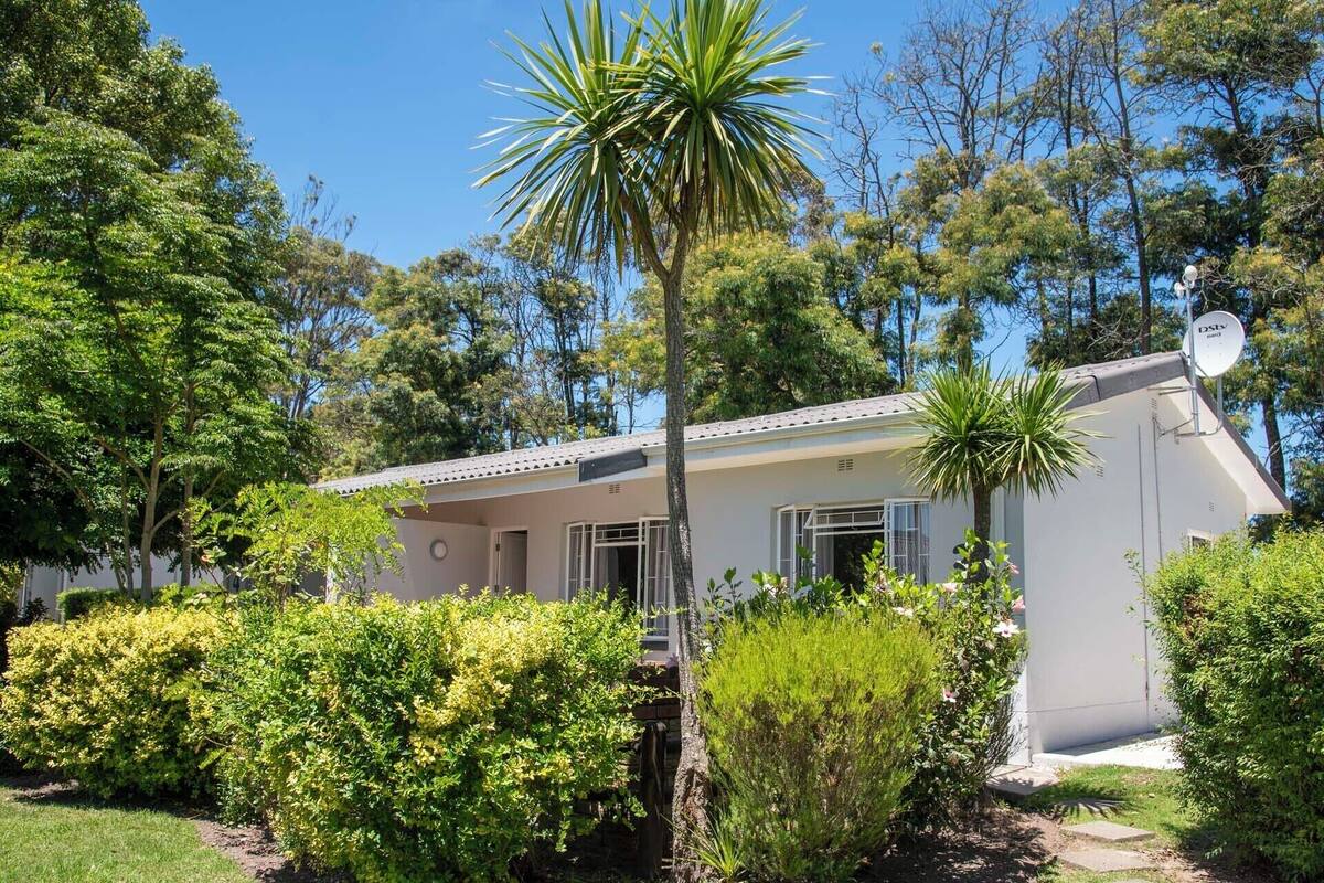 A single-story house with a flat roof, surrounded by lush greenery and trees.
