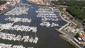 Een jachthaven met talloze boten afgemeerd, omringd door gebouwen en groen.