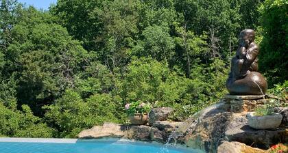 DOMAINE DES BOUDINES