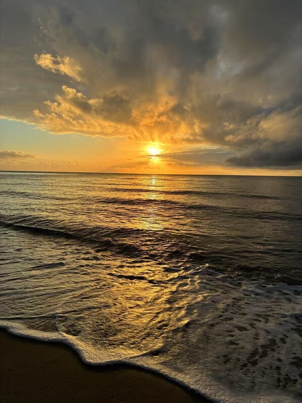 Serviettes de plage