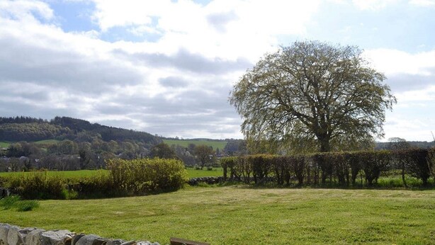 A stone wall with a wooden bench, a large tree, and a grassy field with a stone wall in the foreground.