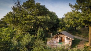 Una cabaña rústica rodeada de un bosque denso, con un sendero de tierra que la lleva a ella.
