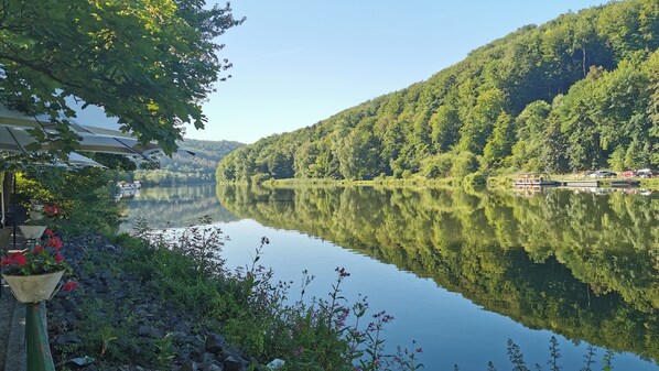 Ein friedlicher See mit einer Holzsteganlage, üppigem Grün und einem klaren Himmel.