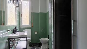 Shower, hair dryer, bidet, towels