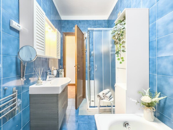 Shower, hair dryer, bidet, towels