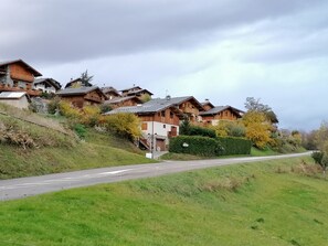 Exterior - Chalet Le Coeur en Bois in the Vanoise National Park (la plagne tarentaise)