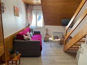 Smart TV, reproductor de DVD y libros