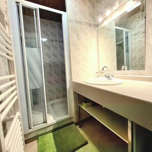 Shower, hair dryer, toilet paper