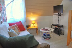 Smart TV, DVD player, books