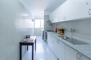 Fridge, microwave, oven, stovetop - Oporto center holiday home for tourists, students, workers (Porto)