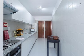 Fridge, microwave, oven, stovetop - Oporto center holiday home for tourists, students, workers (Porto)