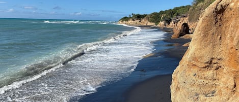 Serviettes de plage