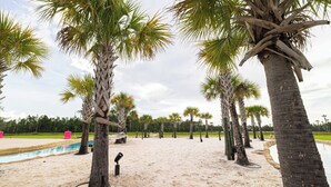 Una playa con palmeras y una piscina.