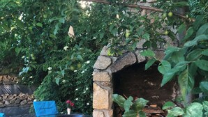 A stone-built outdoor oven with a firebox, a blue chair, and a rose bush in the foreground. - Pink Garden Events Advance Notice Required (Giarmata)
