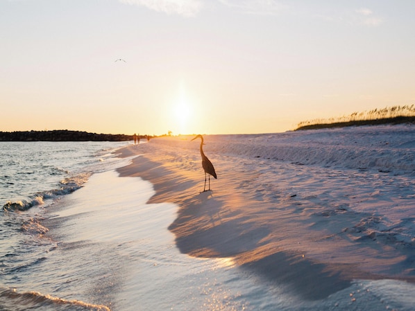 Vlak bij het strand