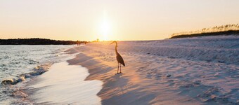 The Osprey #8 - Pelican Landing | 6BD/6BA | Zero-Entry Pool + Boat Slip