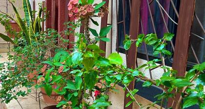 Cozy 1-bedroom house in beautiful Santa Cruz de la Sierra with WiFi, AC