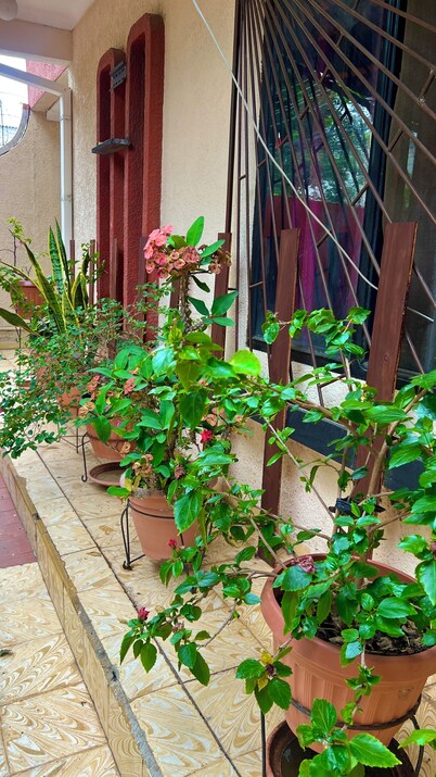Cozy 1-bedroom house in beautiful Santa Cruz de la Sierra with WiFi, AC