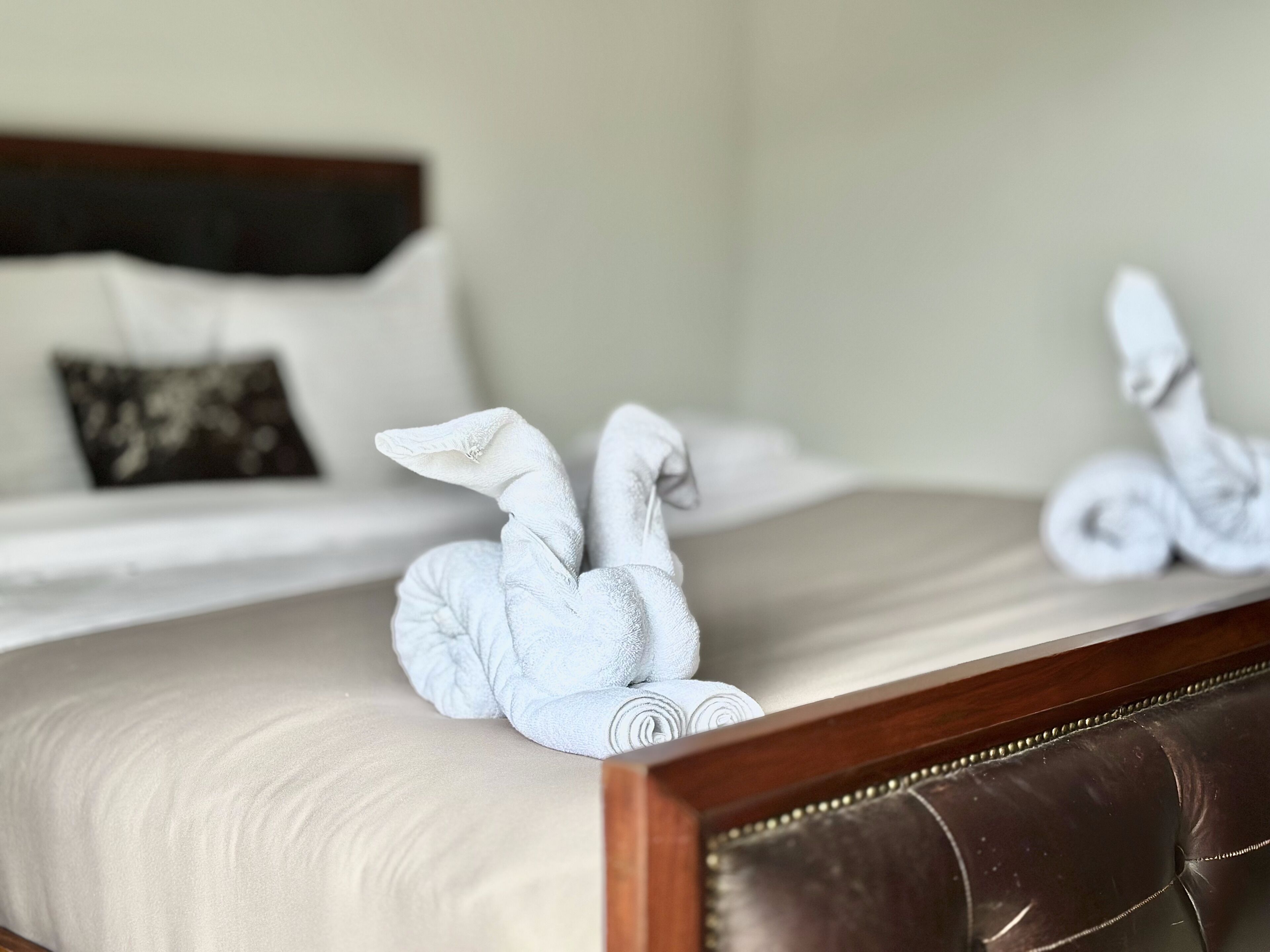 A bed with rolled towels in the shape of swans, a pillow, and a headboard.