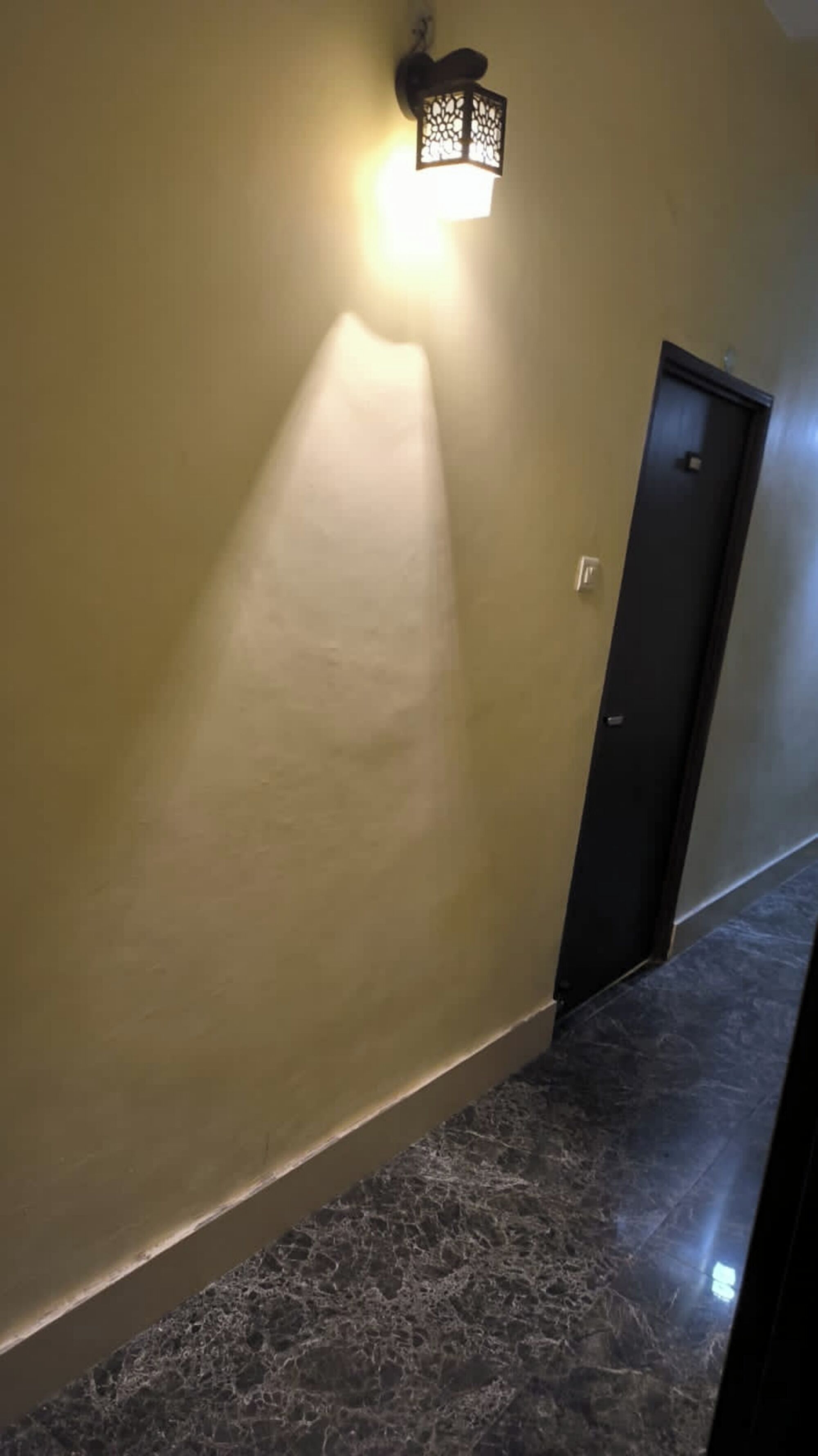 A hallway with a light fixture casting a shadow on the wall and a door at the end.