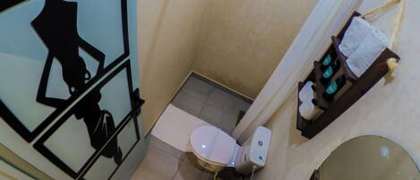 A bathroom with a toilet, a sink, and a shower area.
