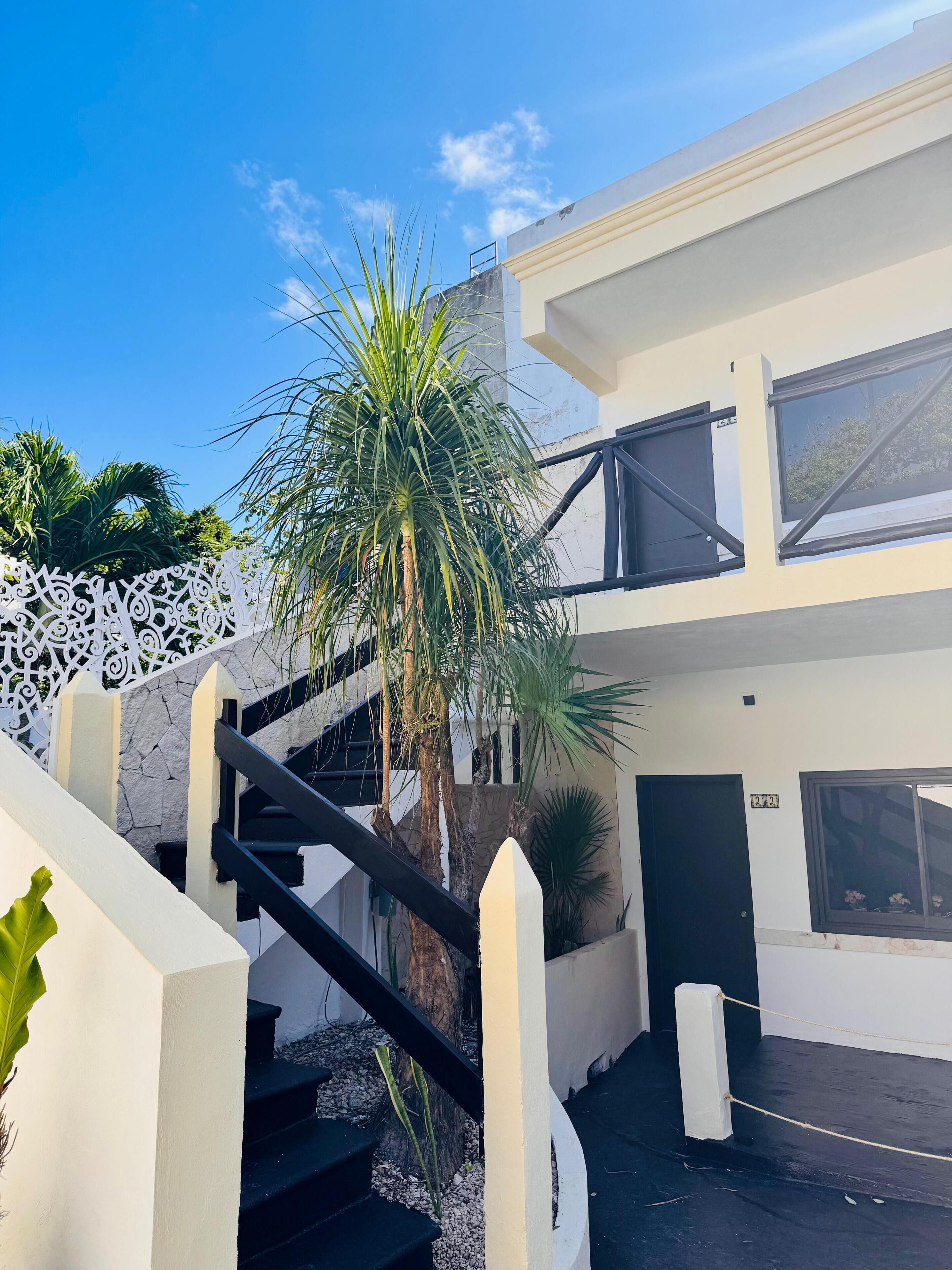 Photo - Original Maya Bric