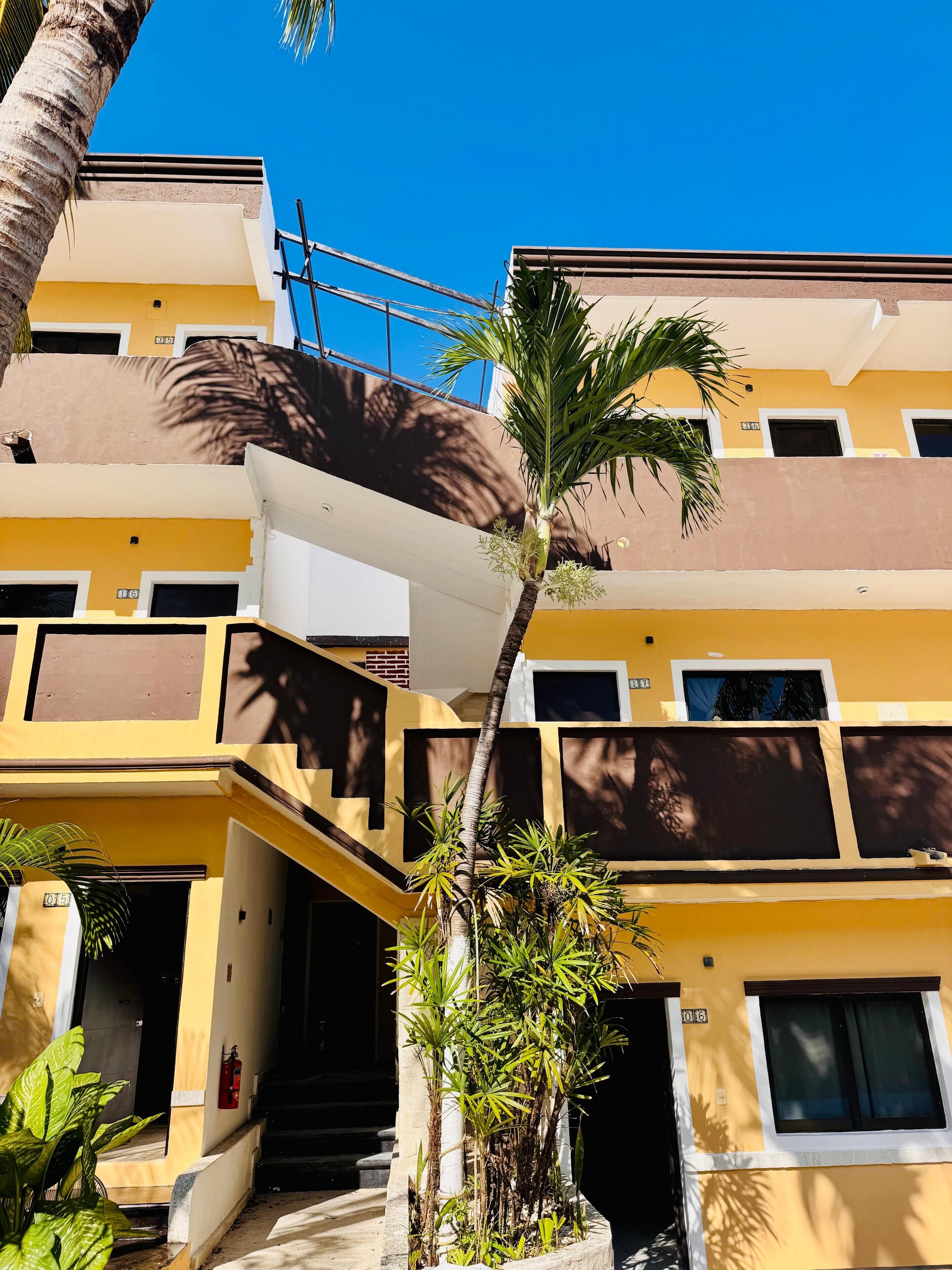 Photo - Original Maya Bric