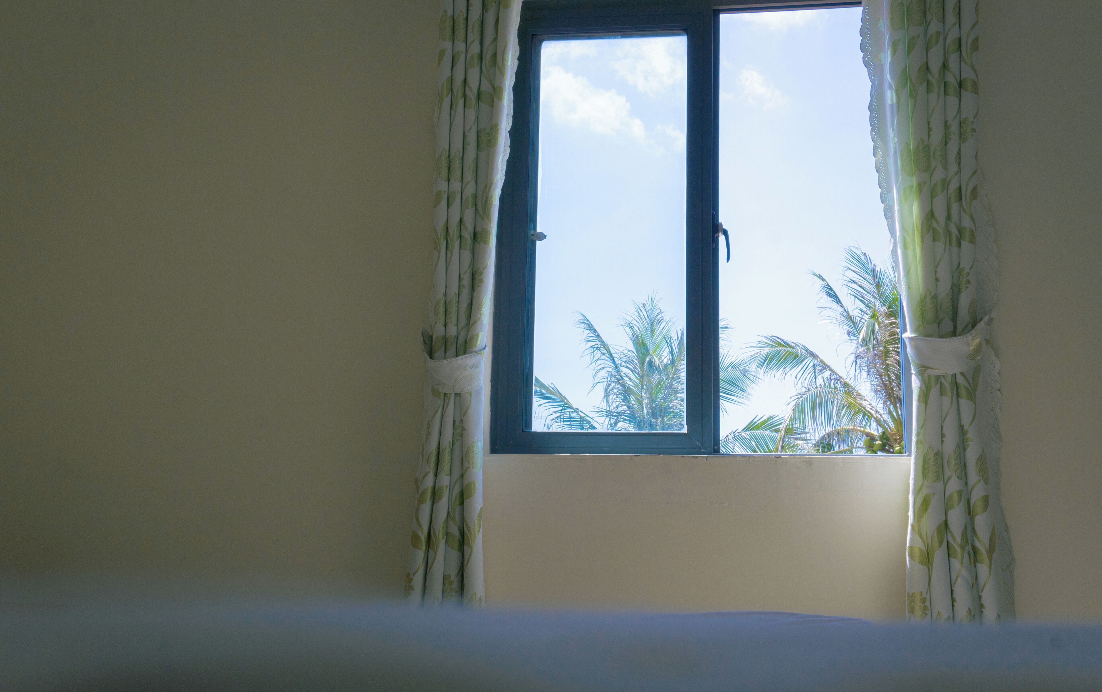 A room with a window, curtains, and a view of palm trees.