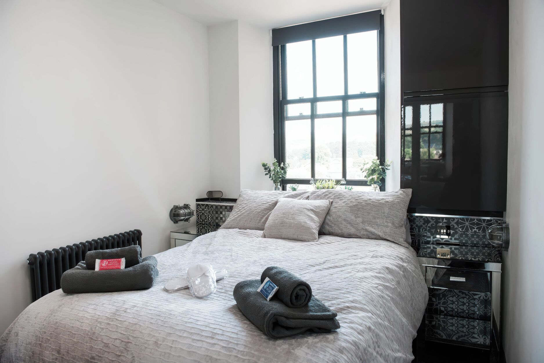 Une chambre à coucher avec un lit, un radiateur, une télévision et une fenêtre ornée de plantes.