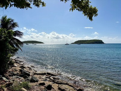 Bananas Vieques Guesthouse Room 5/Vibrant Area/Private/Steps from Caribbean