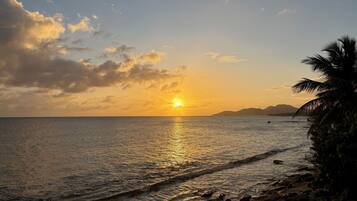 Une plage au coucher du soleil, avec une mer calme et un palmier.
