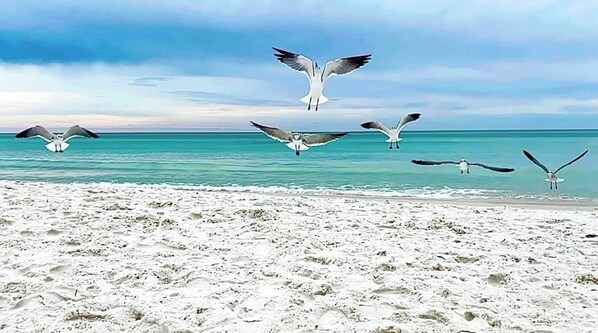 Tæt på stranden, liggestole, badehåndklæder