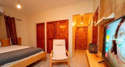 Danshari Room B-1 (Free-Parking) Malecon-Beaches 10 minutes away