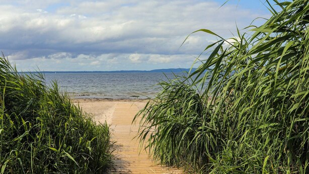 Un sentier en bois mène à une plage, de part et d’autre duquel s’étend une haute prairie.