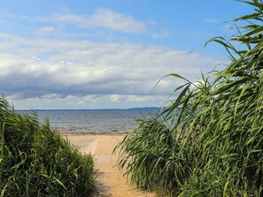 Un sentier en bois mène à une plage, de part et d’autre duquel s’étend une haute prairie.
